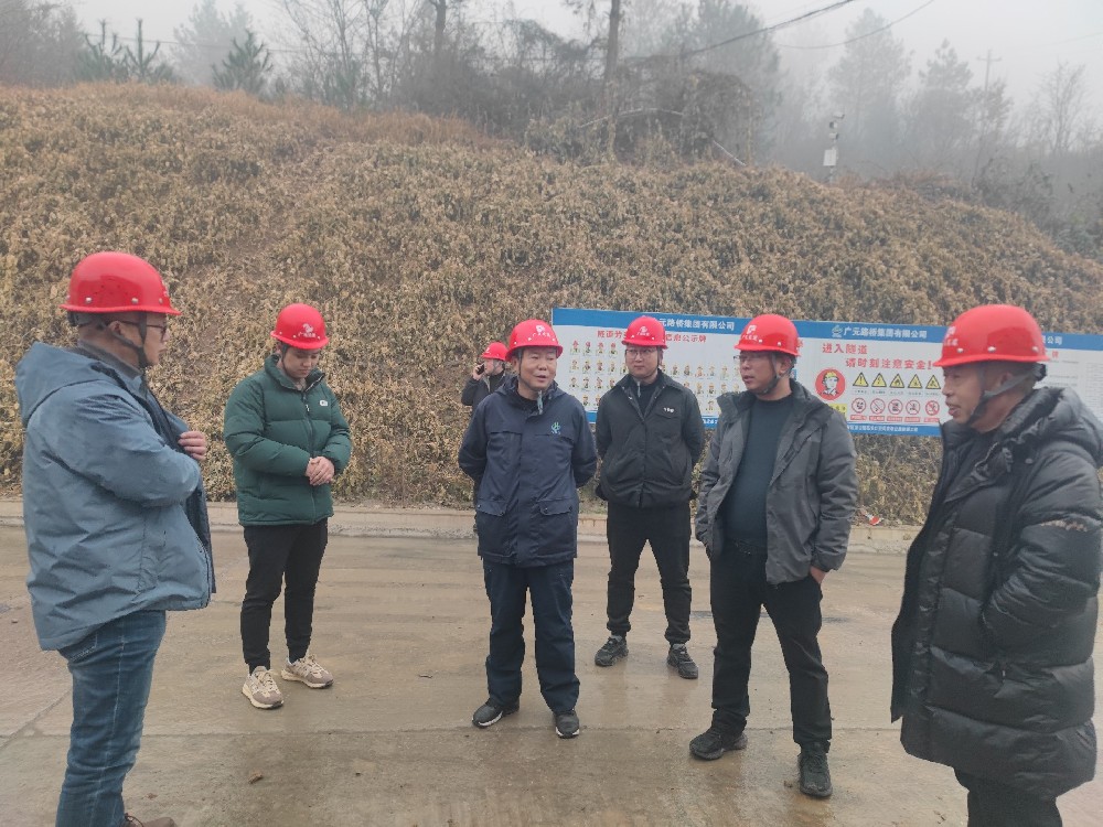 Z6尊龙凯时集团开展春节节前清静检查